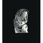 Application Virgin Mary
