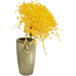Memorial Vase Master Oro 425