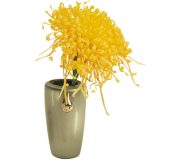 Memorial Vase Master Oro 424 Memorial Vase Master Oro 424