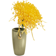 Memorial Vase Master Oro 425