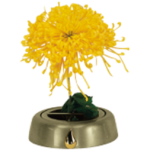 Memorial Immersion Vase Master Oro 421